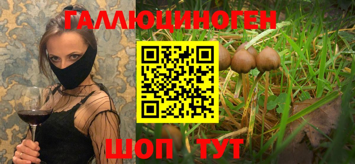 Галлюциногенные грибы мицелий  Вход с VPN  Псилоцибиновые грибы мухоморы  где купить наркоту  Георгиевск 