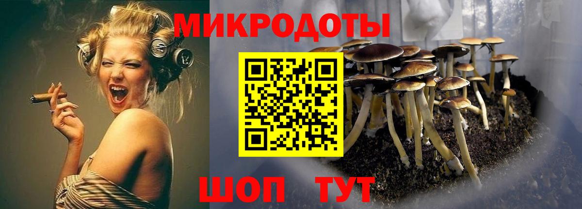 Галлюциногенные грибы Magic Shrooms Георгиевск